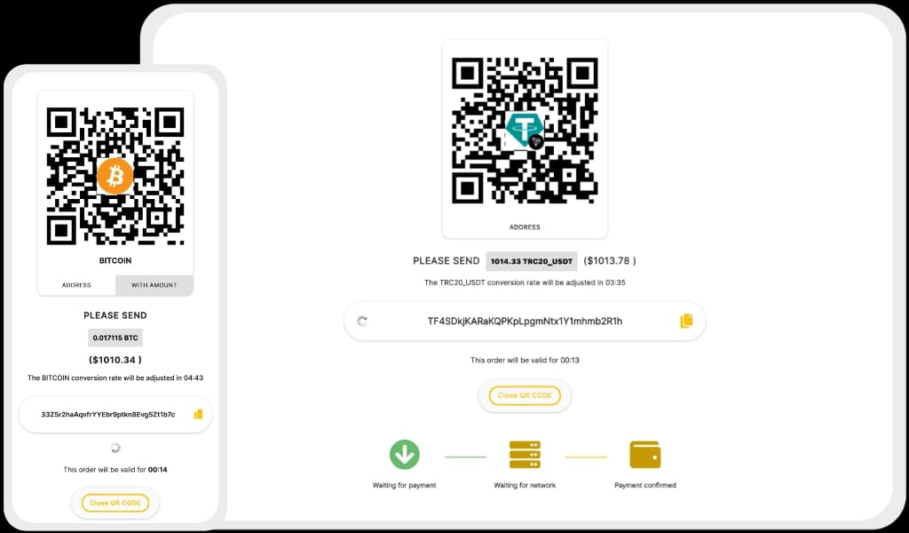 Capture payments on your e-commerce platform - no code required