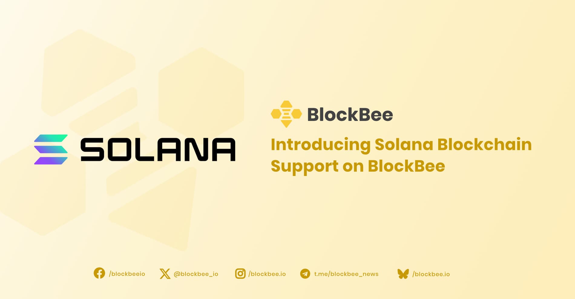 BlockBee Adds Support for Solana and Solana-Based Tokens