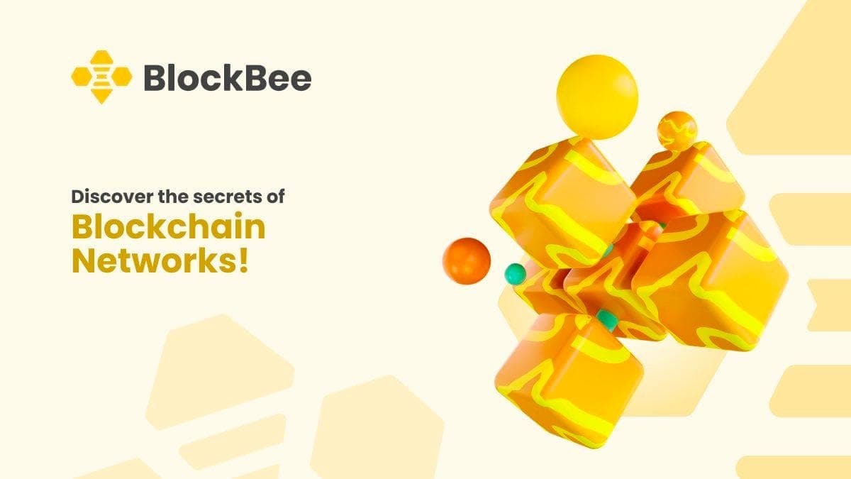 Navigating the Maze: Understanding the Differences Between Blockchain Networks and Why Choosing the Right One Matters