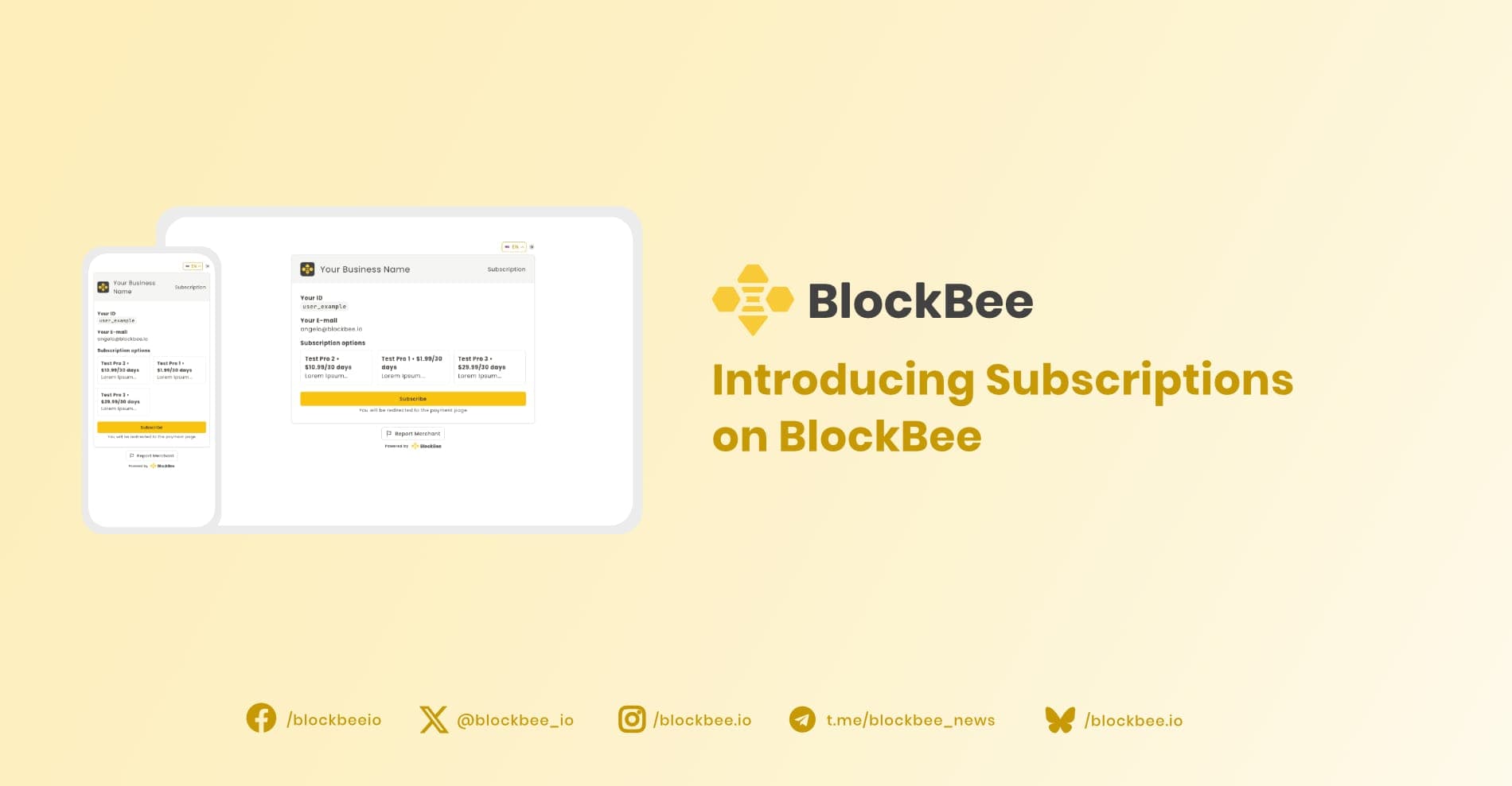 Introducing Subscriptions on BlockBee