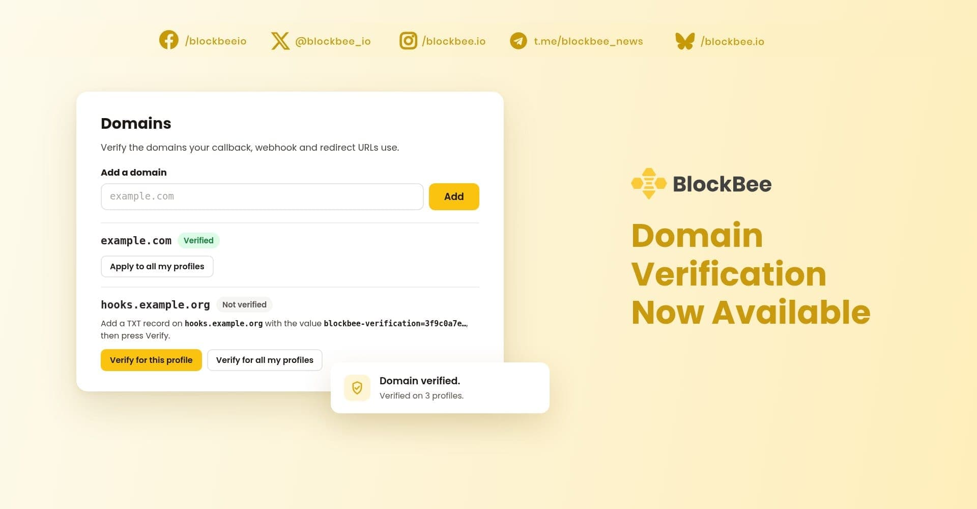 Introducing Domain Verification for Callbacks and Redirects