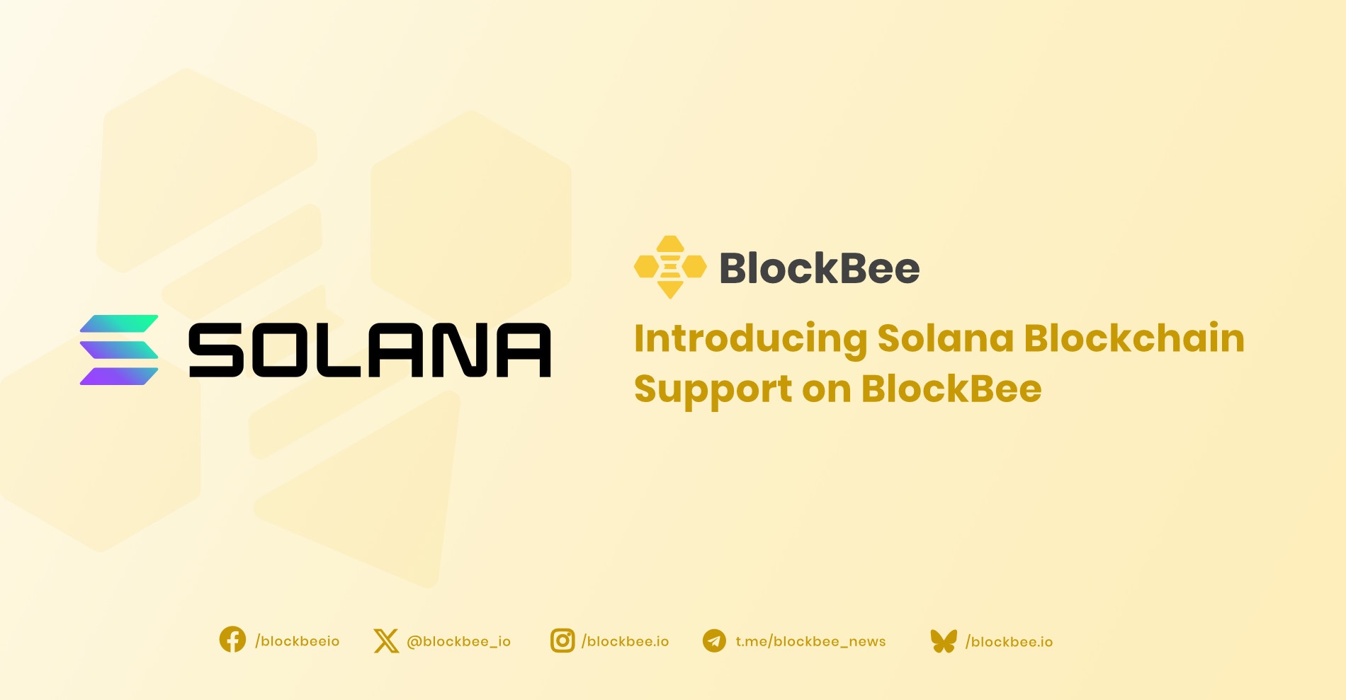 BlockBee Adds Support for Solana and Solana-Based Tokens