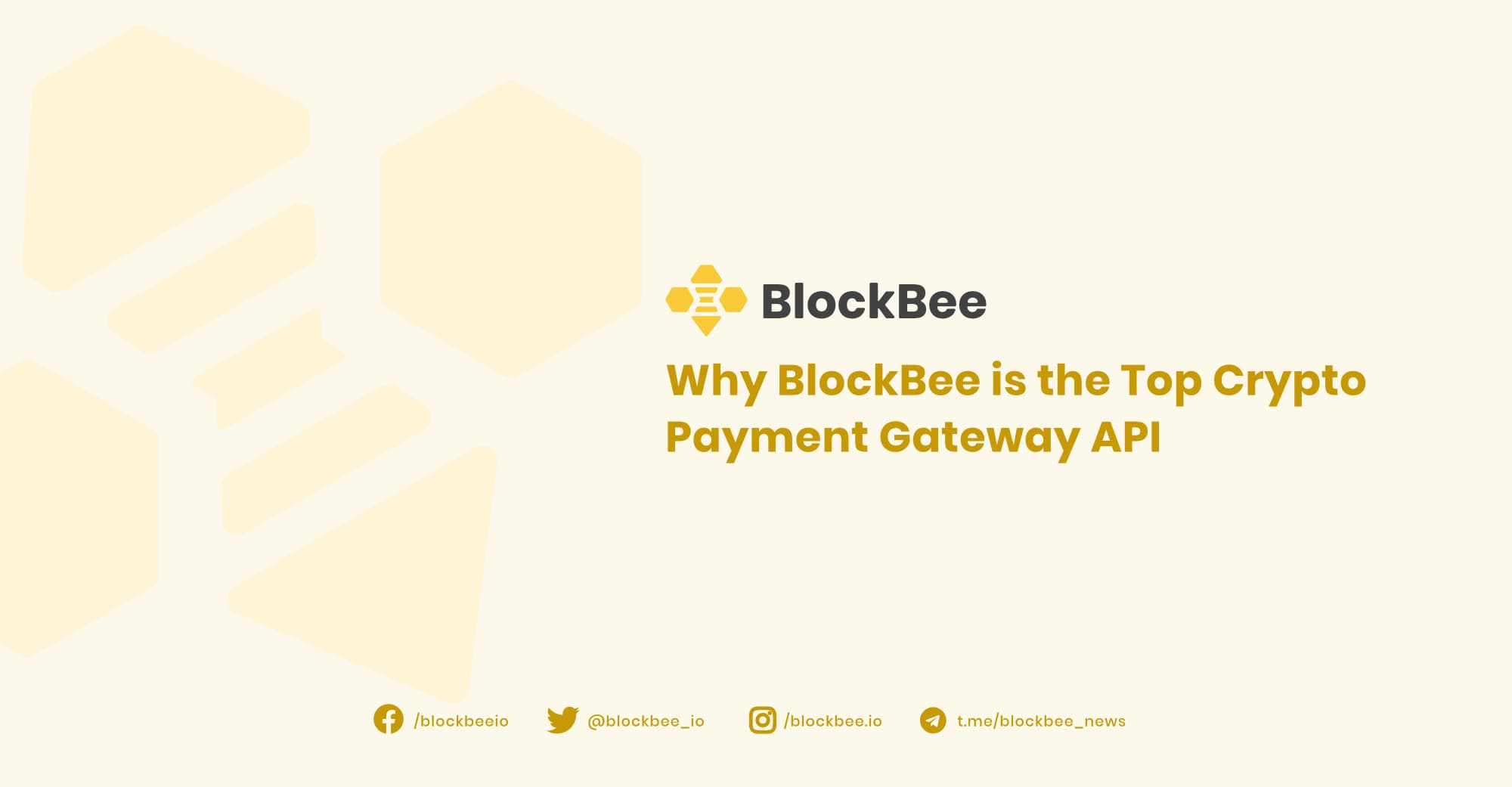 Why BlockBee is the Top Crypto Payment Gateway API