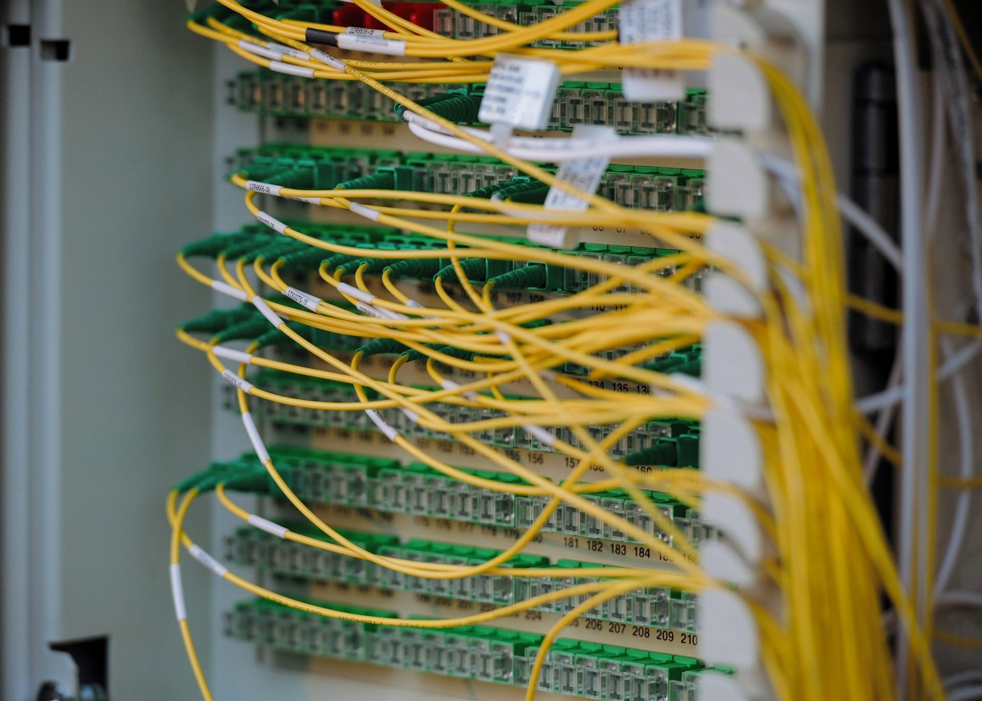 Yellow and green network cables connected to a patch panel